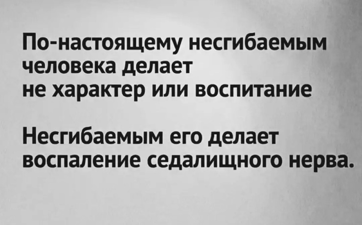 ������� ������ �������� � ����� (35 ����)