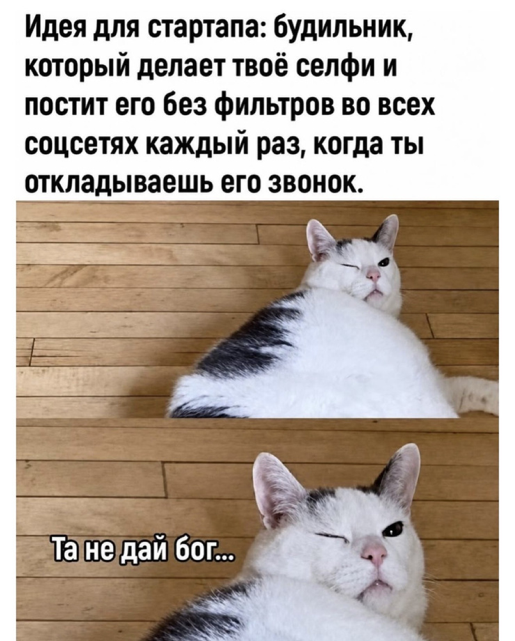 ������� ������ �������� � ����� (35 ����)