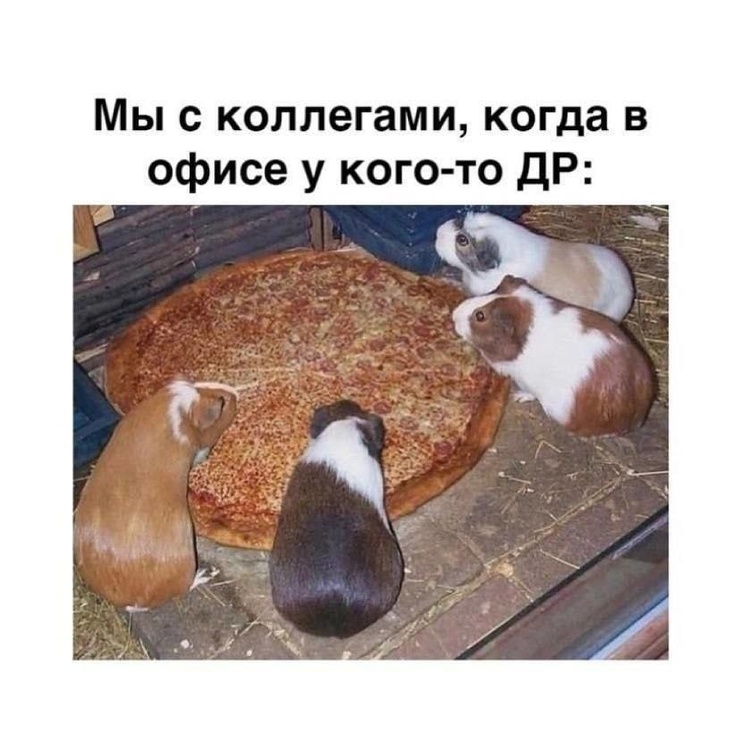 ������� ������ �������� � ����� (35 ����)