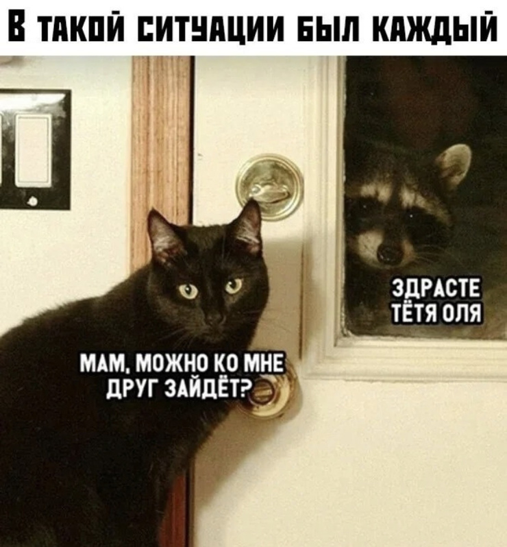 ������� ������ �������� � ����� (35 ����)