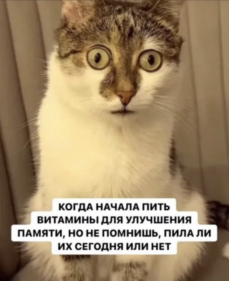 ������� ������ �������� � ����� (35 ����)