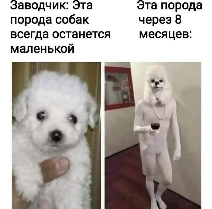 ������� ������ �������� � ����� (35 ����)