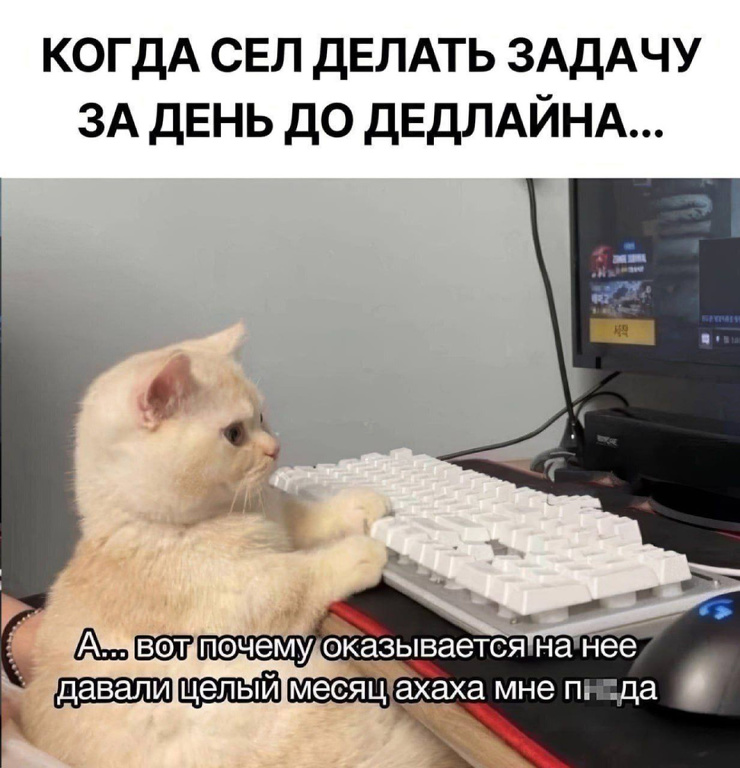 ������� ������ �������� � ����� (35 ����)