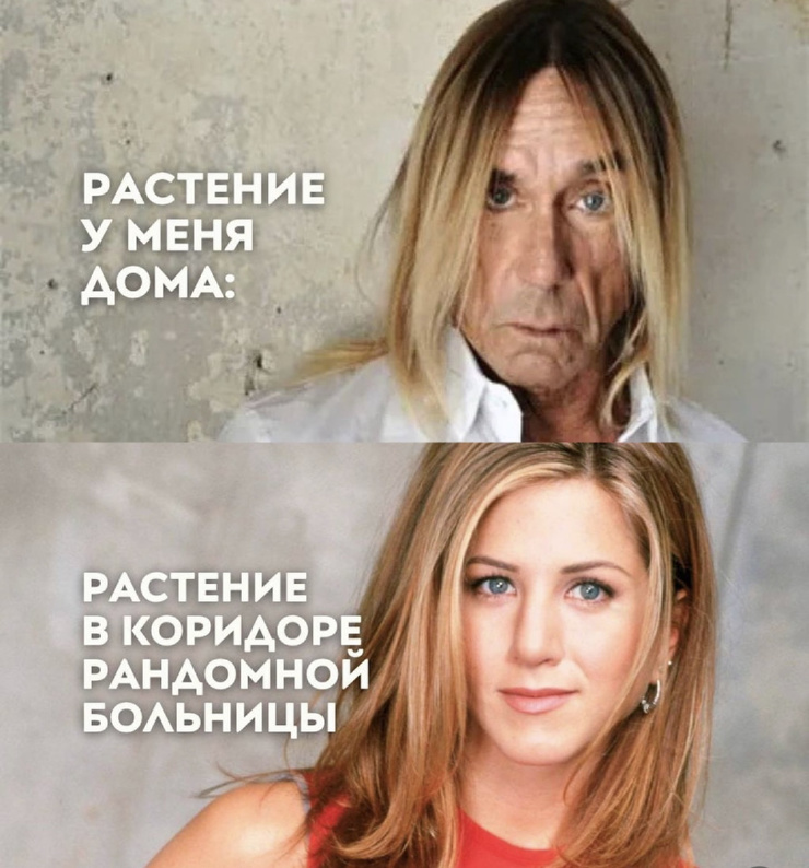 ������� � ���� ��� ������� ���������� (30 ����)