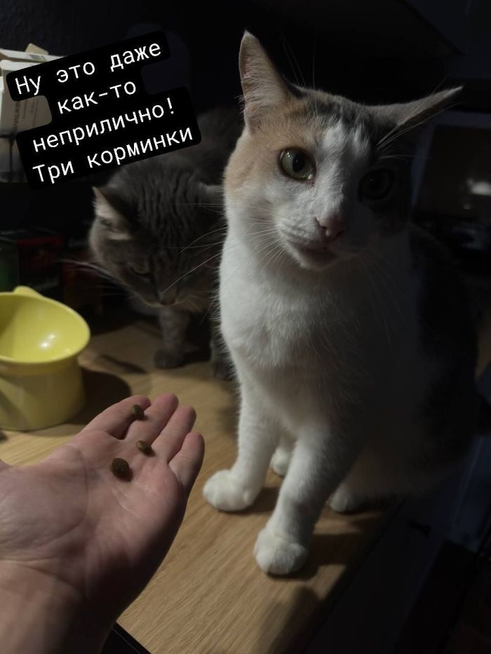 ���������! ������� ���� � ������� �� ���� (30 ����)