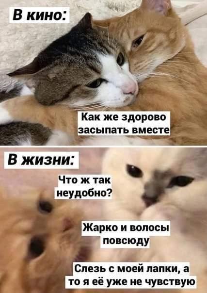 ���������! ������� ���� � ������� �� ���� (30 ����)
