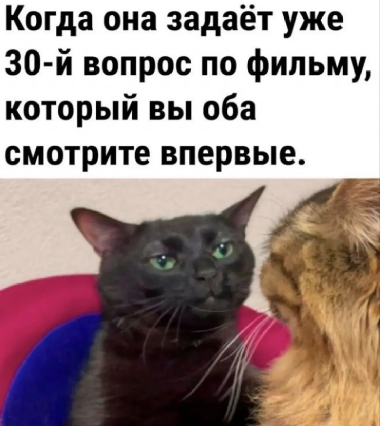 ������� ������ ����� � �������� ��� ���������� (20 ����)