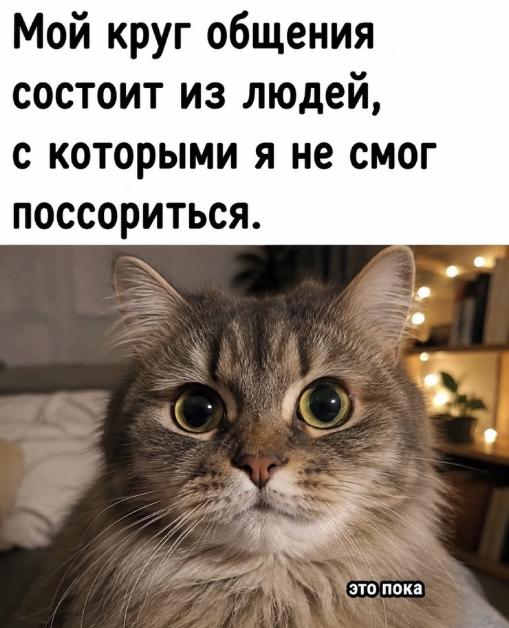 ������� ������ ����� � �������� ��� ���������� (20 ����)
