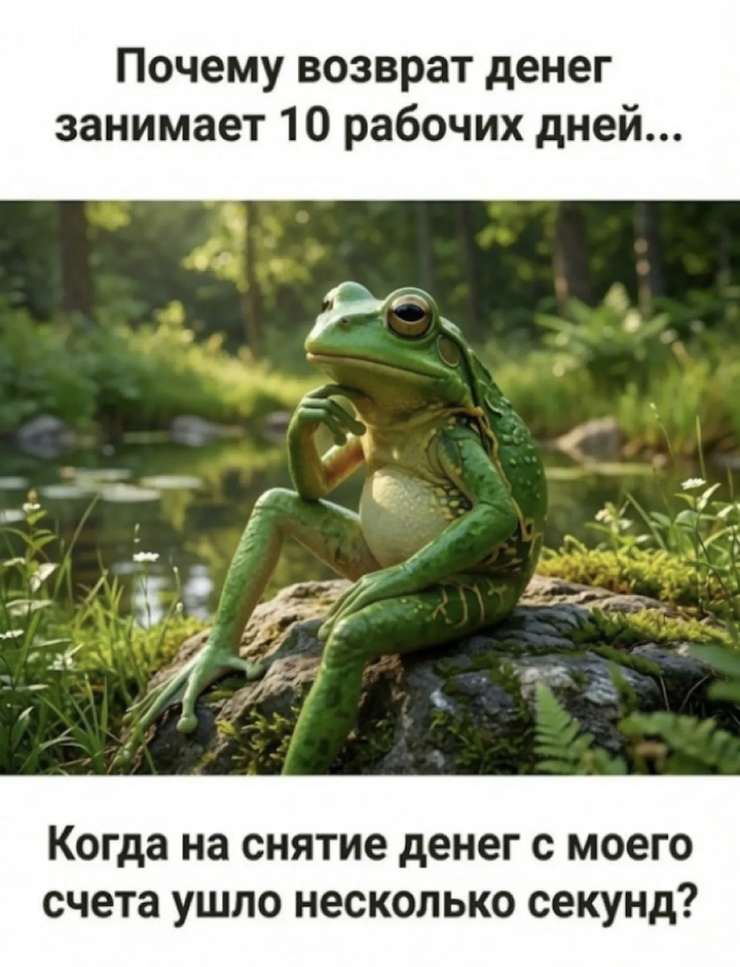 ���������! ������ ������� � ���� �� ���� (40 ����)