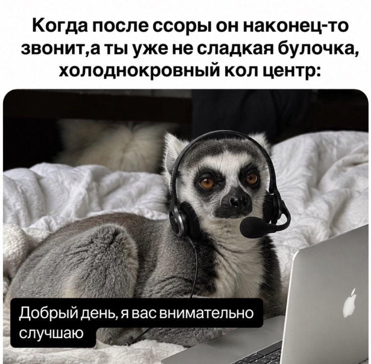 ���������! ������ ������� � ���� �� ���� (40 ����)