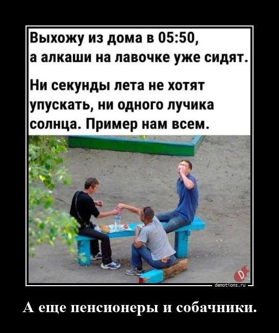 ������������ �������� (21 ����)