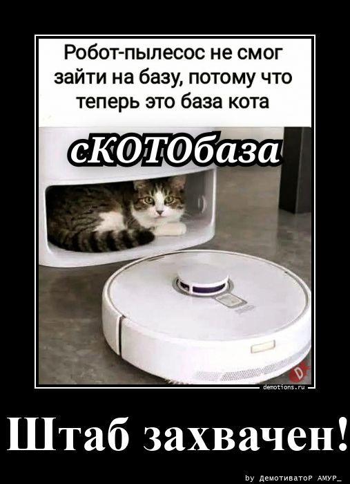 ������������ �������� (21 ����)