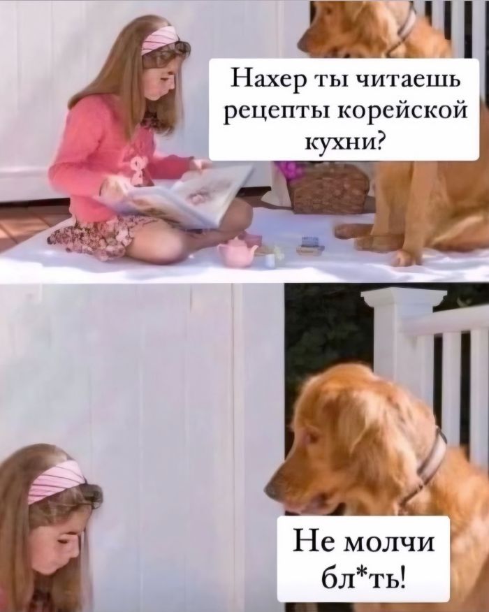 �������� ������� ����� � �������� (30 ����)
