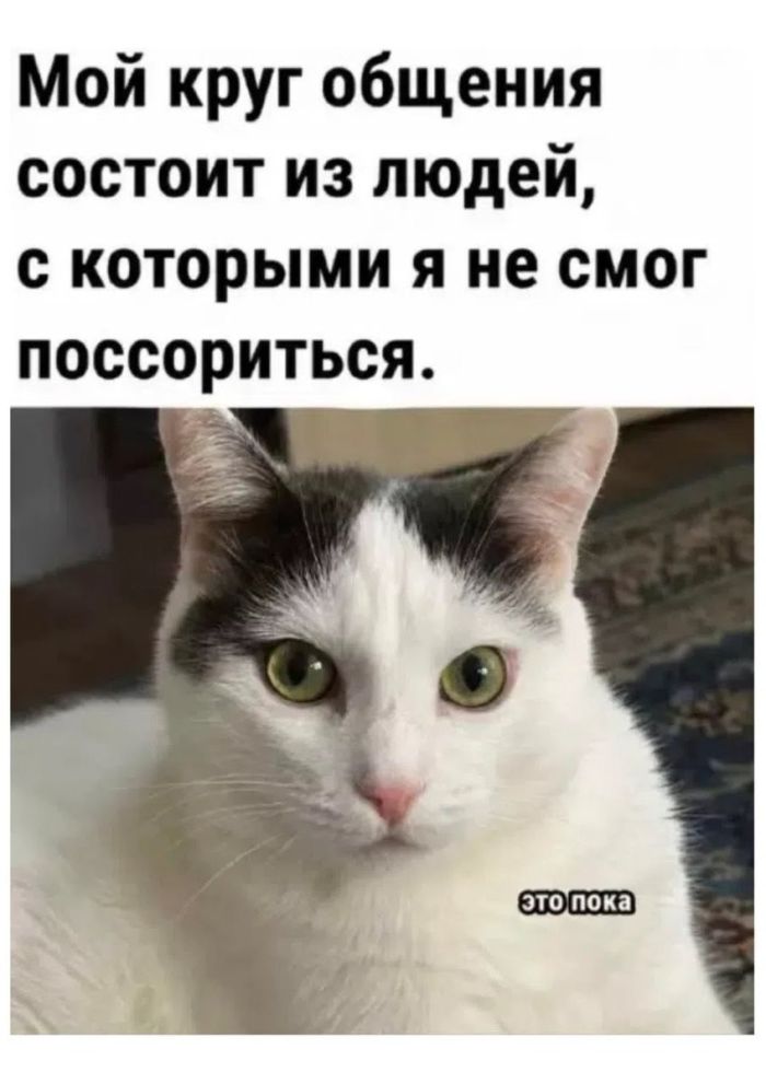 �������� ������� ����� � �������� (30 ����)