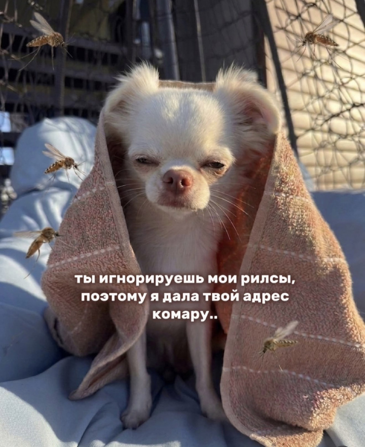 �������� ������� ����� � �������� (30 ����)