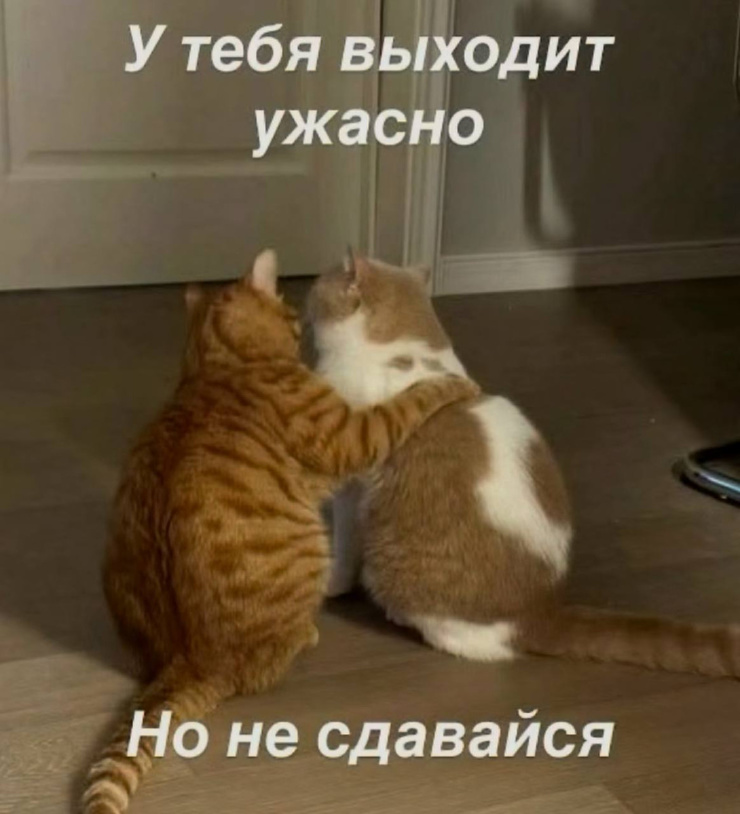 ������� ������� � ���� �� ���� (30 ����)