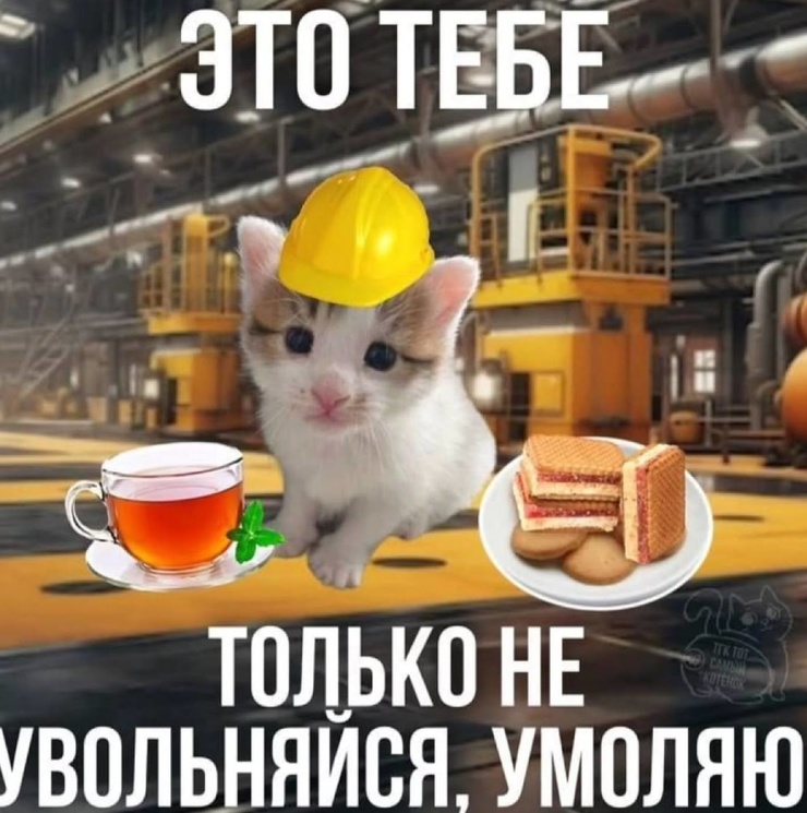 ������� ������� � ���� �� ���� (30 ����)