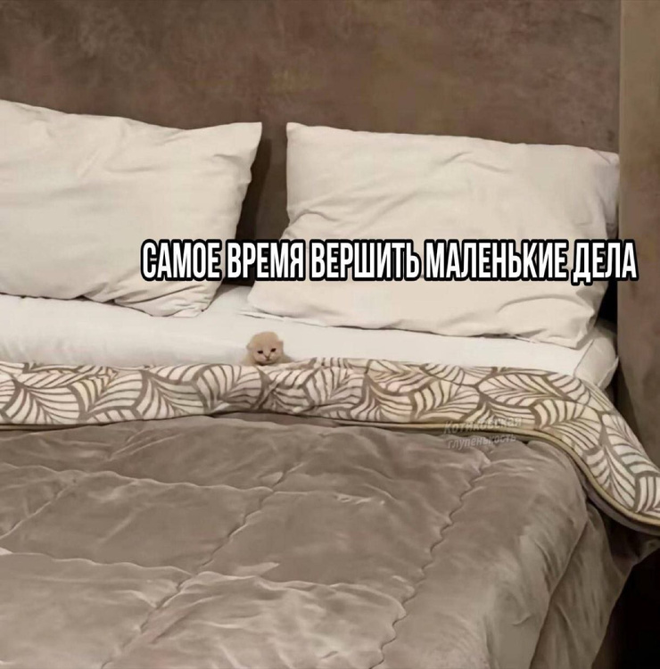 ������� ������� � ���� �� ���� (30 ����)