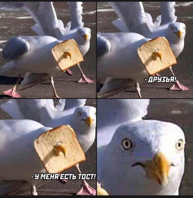 ��������! ������ ���� � ������� ��� ���������� (35 ����)