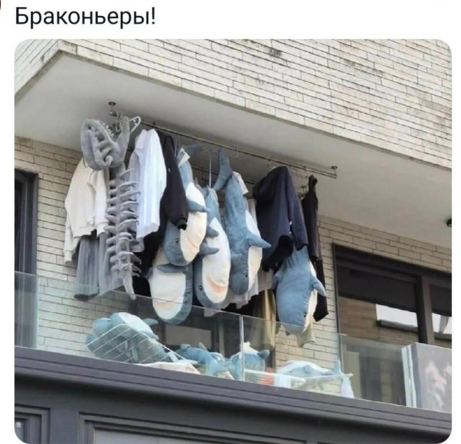 ��������! ������ ���� � ������� ��� ���������� (35 ����)