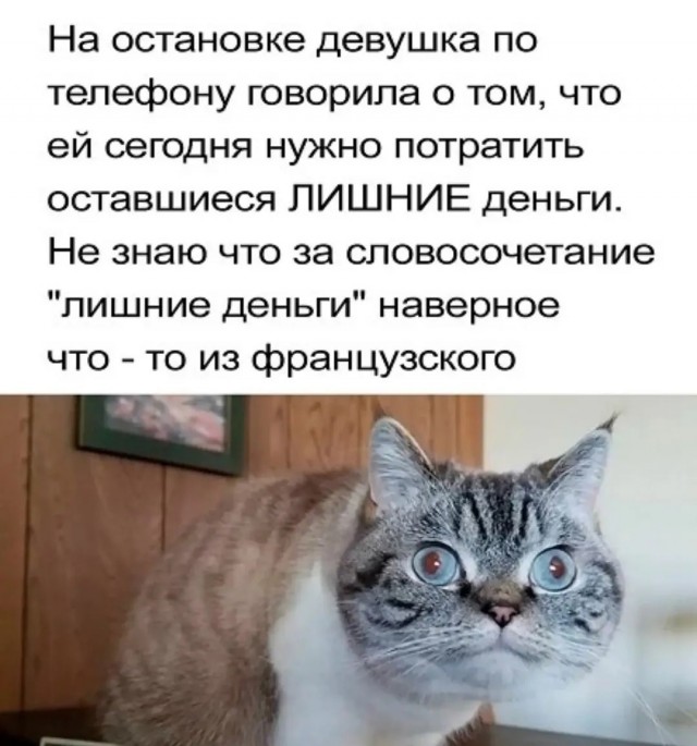 �������� ����� � �������� ��� ��������� ���������� (22 ����)