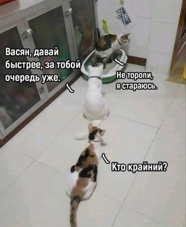 �������� ����� � �������� ��� ��������� ���������� (22 ����)
