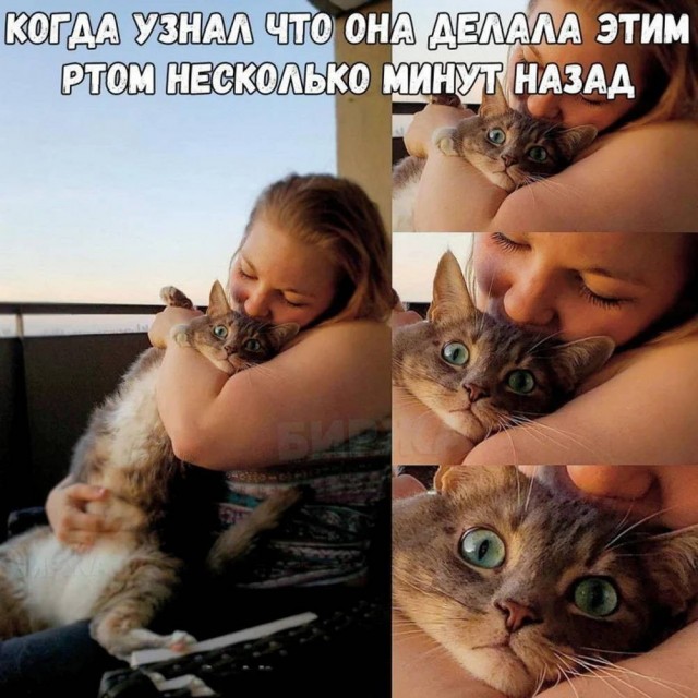 �������� ����� � �������� ��� ��������� ���������� (22 ����)