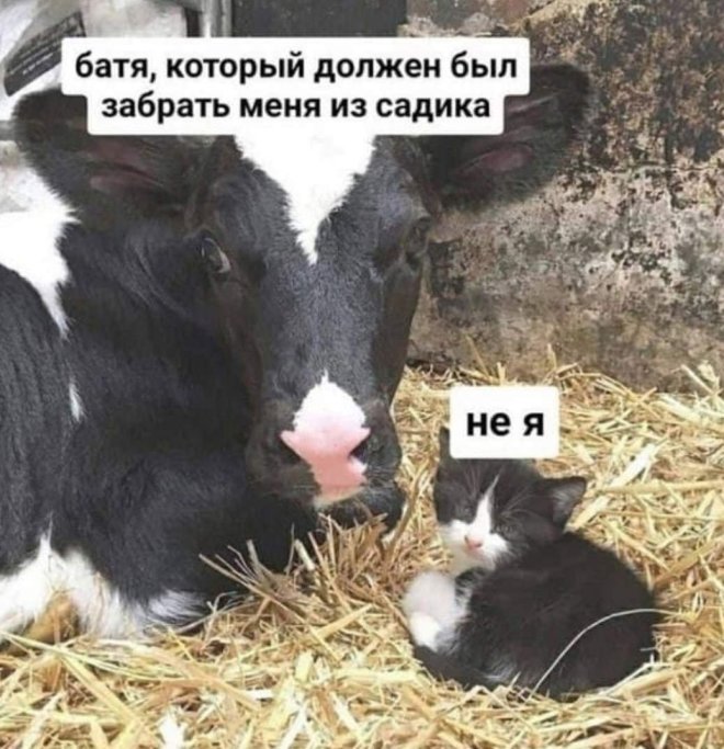 ������� ������ �������� � �����(32 ����)