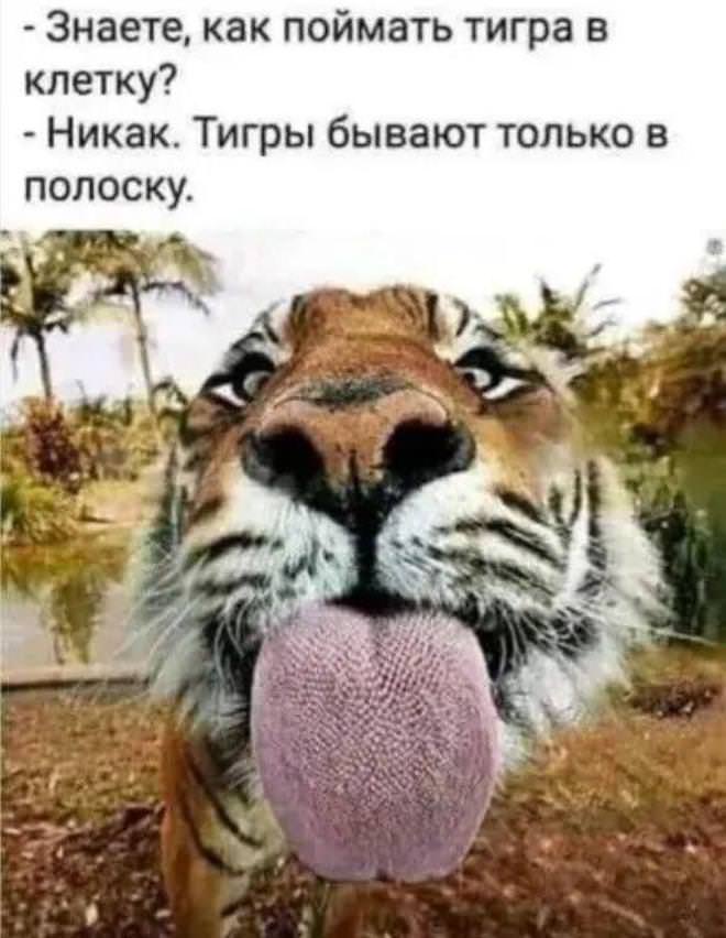������� ������ �������� � �����(32 ����)