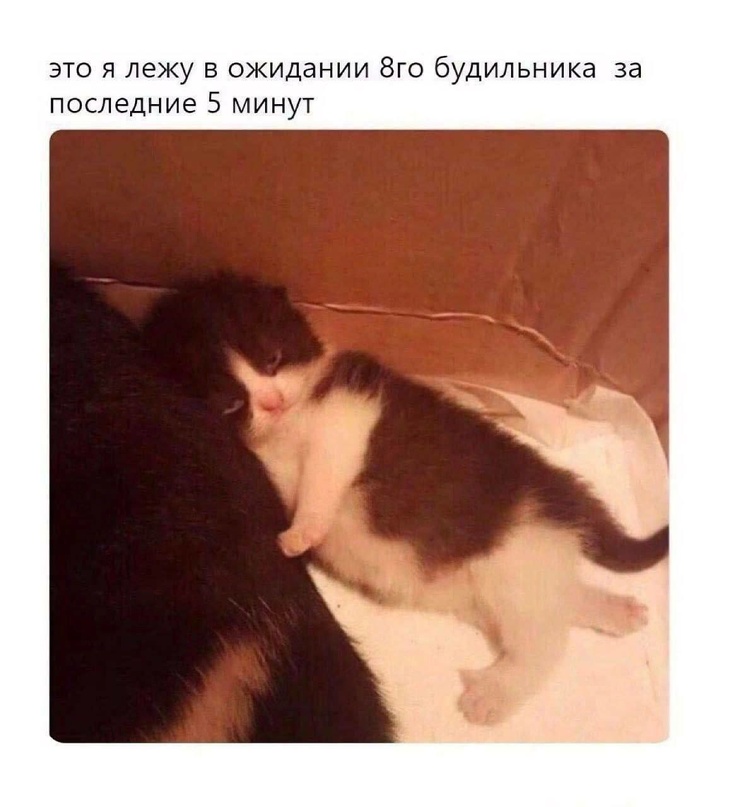 ������� ������ �������� � �����(32 ����)