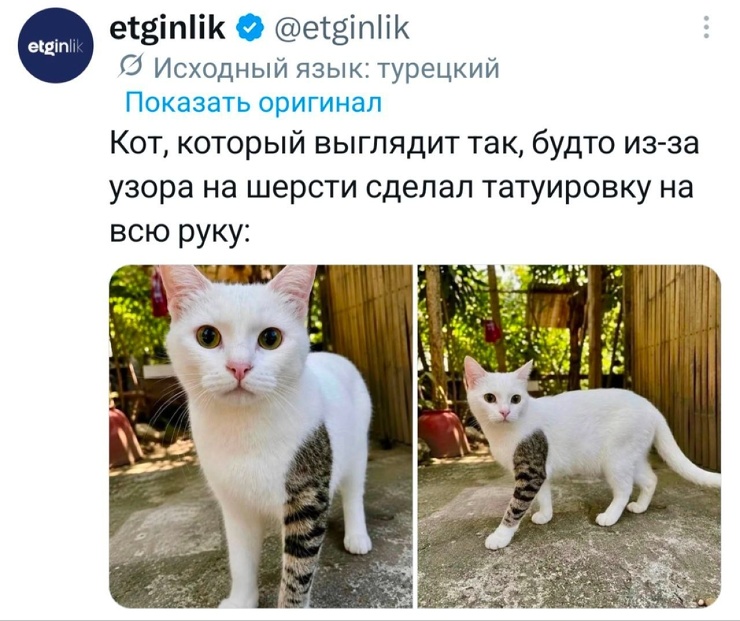 ���������! ������� ������� ��� ���������� (23 ����)
