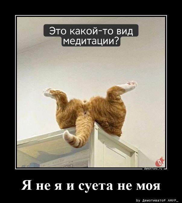 ������������ ������������ (16 ����)