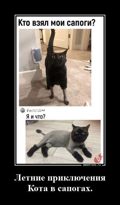 ������������ ������������ (16 ����)