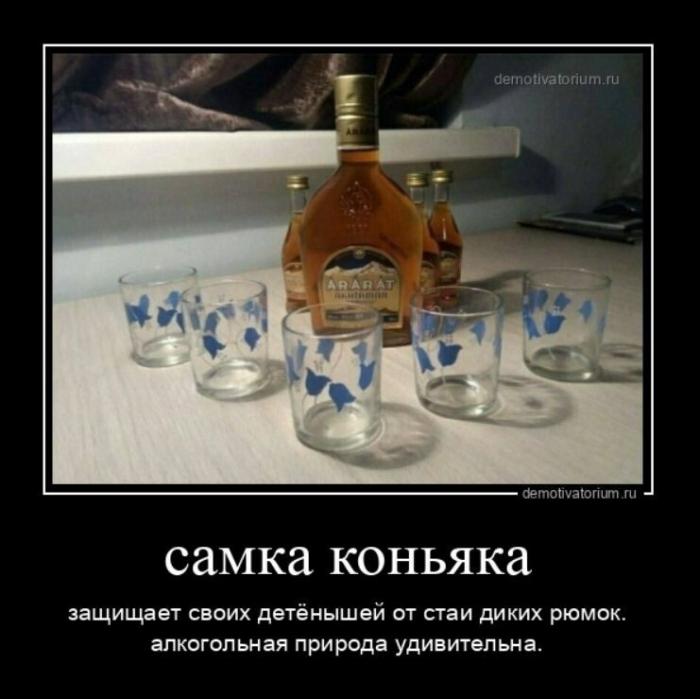 ������������ ������������ (16 ����)