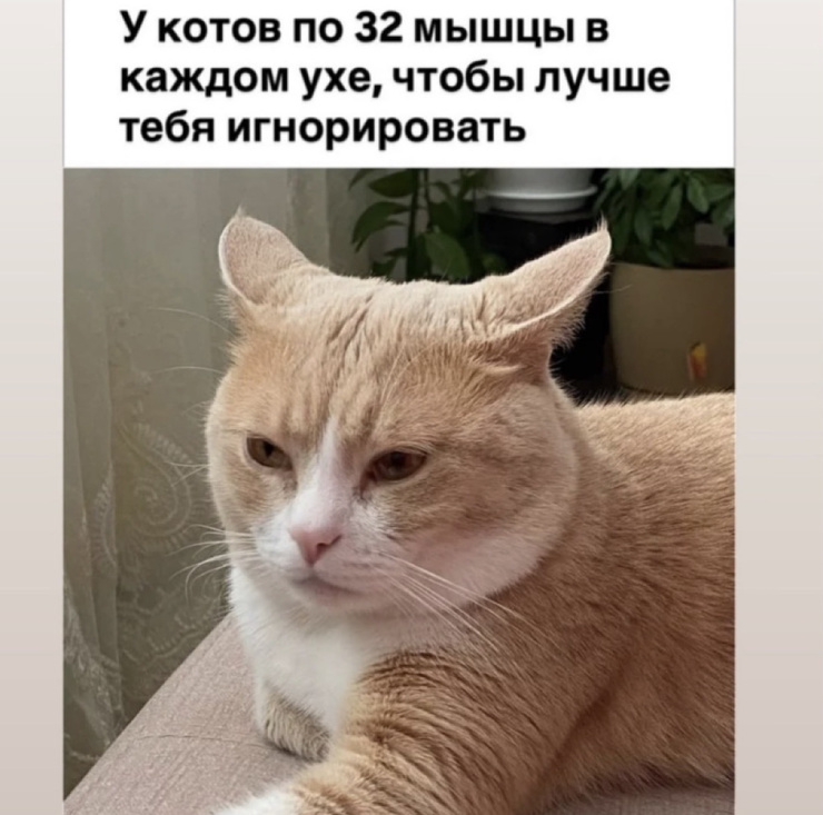 ������ ���� � ������� ��� ������� ���������� (35 ����)