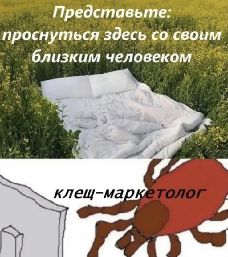������ ���� � ������� ��� ������� ���������� (35 ����)