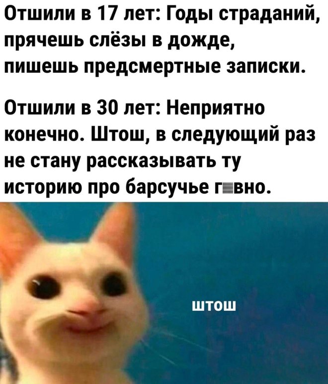 ������ ���� � ������� ��� ������� ���������� (35 ����)