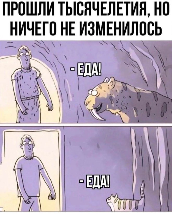 ������ ���� � ������� ��� ������� ���������� (35 ����)