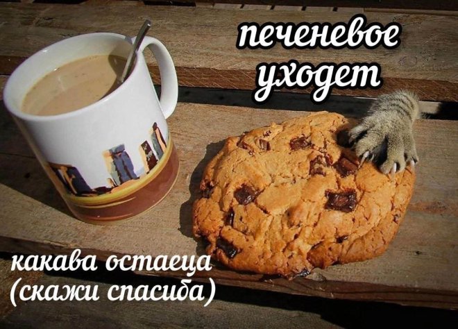 ������ ���� � ������� ��� ������� ���������� (35 ����)