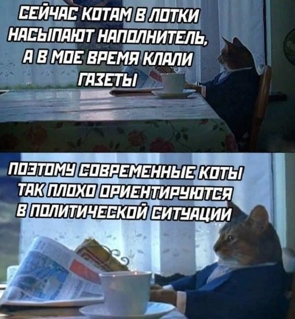 ������ ���� � ������� ��� ������� ���������� (35 ����)