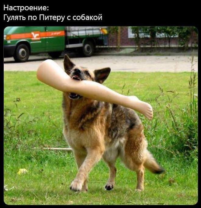 ������� ����� � �������� ��� ���������� (25 ����)