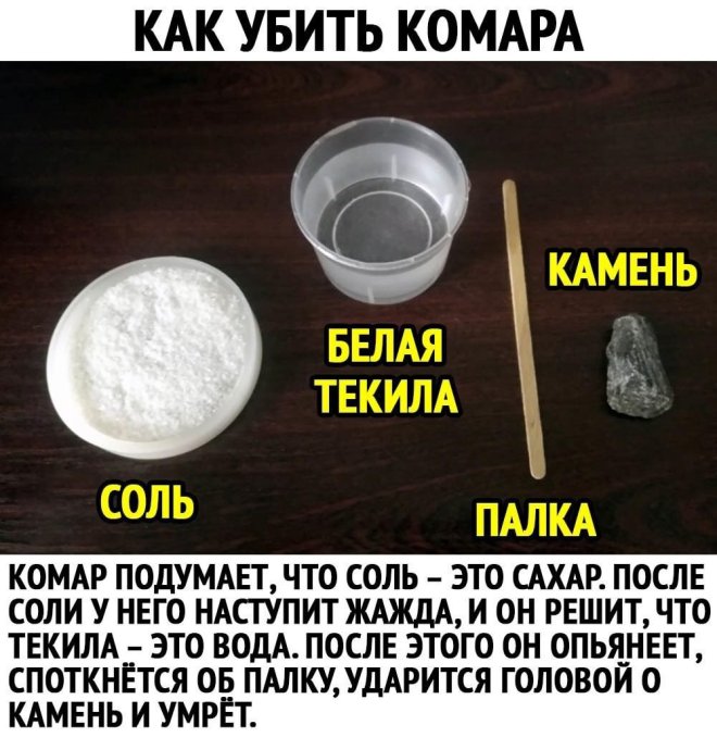 ������� ����� � �������� ��� ���������� (25 ����)