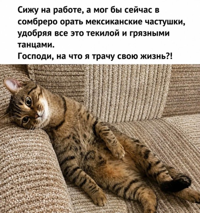 ������� ����� � �������� ��� ���������� (25 ����)