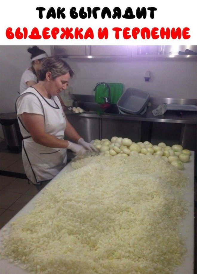 ������� ����� � �������� ��� ���������� (25 ����)