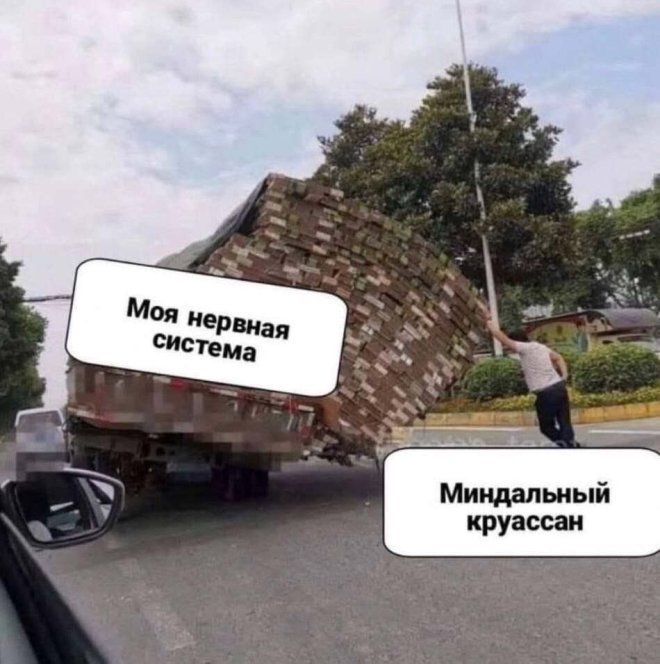 ������� ����� � �������� ��� ���������� (25 ����)