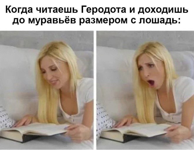 ���������! �������� ����� � �������� �� ���� (26 ����)