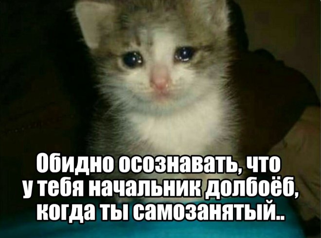 ������� ���� � ������� ��� ���������� (35 ����)