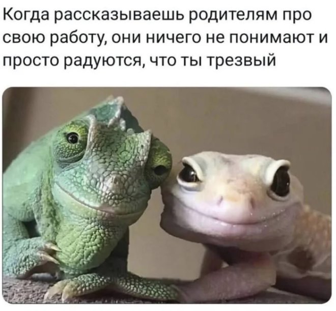 ������� ���� � ������� ��� ���������� (35 ����)