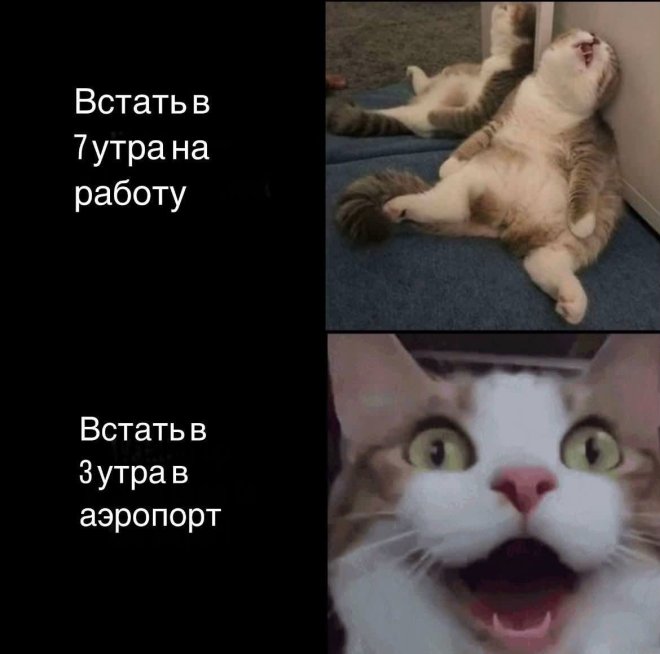 ������� ���� � ������� ��� ���������� (35 ����)