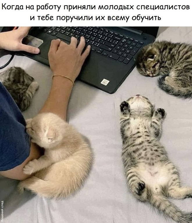 ������� ���� � ������� ��� ���������� (35 ����)